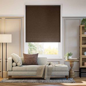 Designer Nutmeg DC 13733