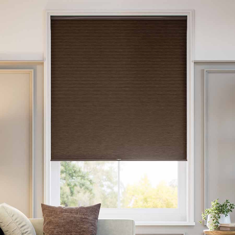 Designer Nutmeg DC 13733