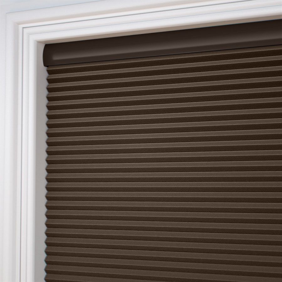 Designer Nutmeg DC 13733