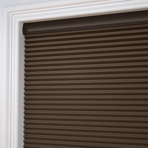 Designer Nutmeg DC 13733