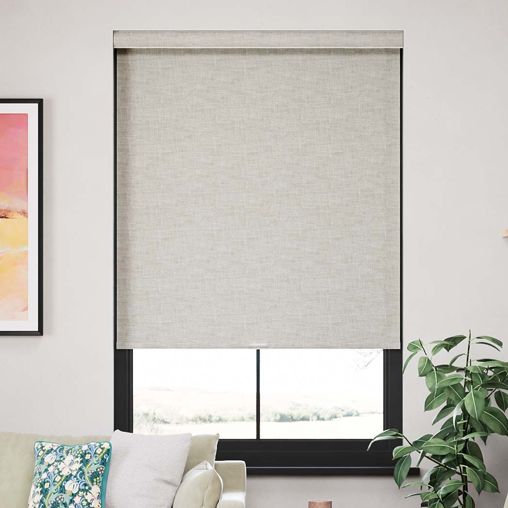 Arlo Hemp 13805