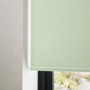 Manor Sage 14218
