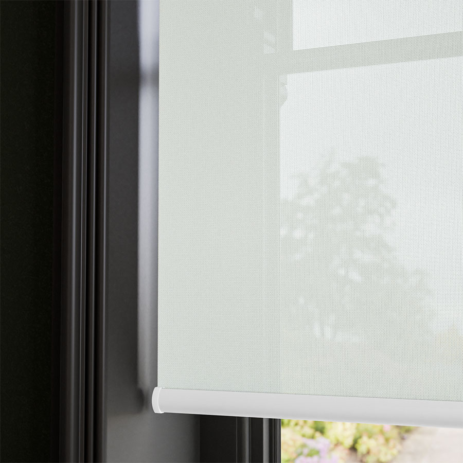 Camellia White 14316