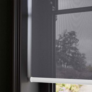 Fog 14338