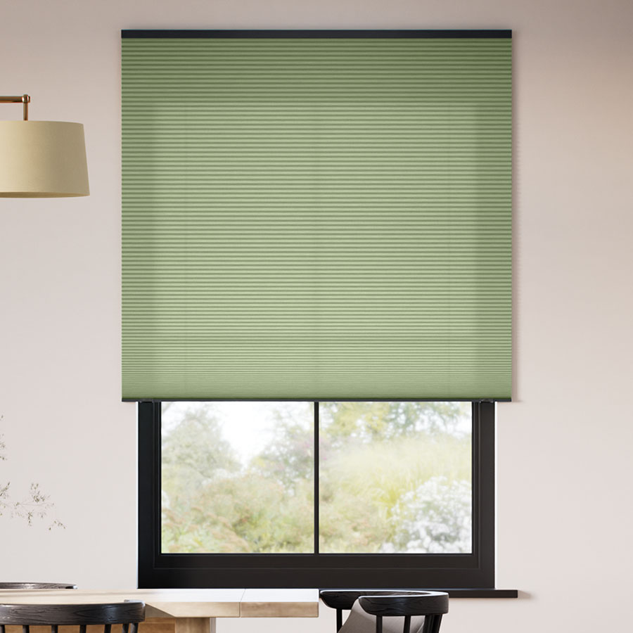 Olive Branch 12935