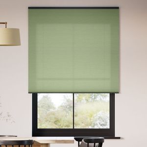 Olive Branch 12935