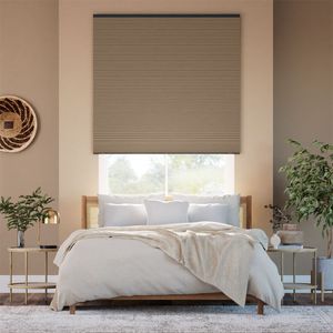 Wild Wood 12929