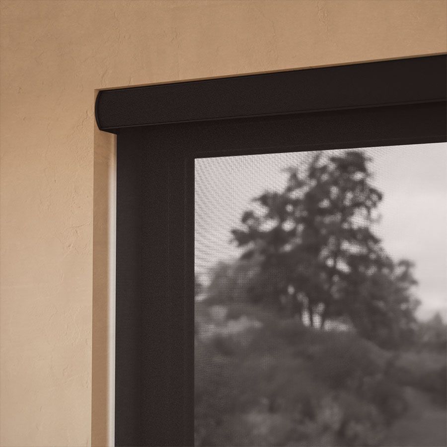 Ambient Umber 10% 15636
