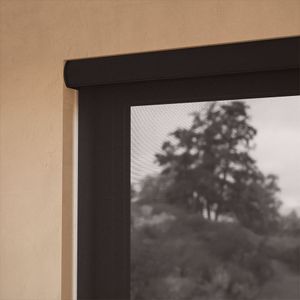 Ambient Umber 10% 15636