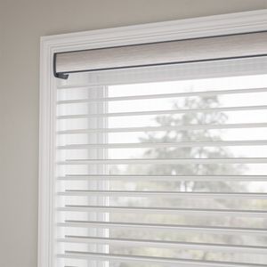 Gradation Grey 15685