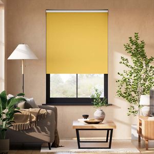 Cavendish Mimosa Gold 15857