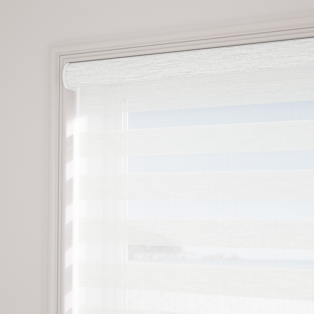 Saltwater Splash 16083