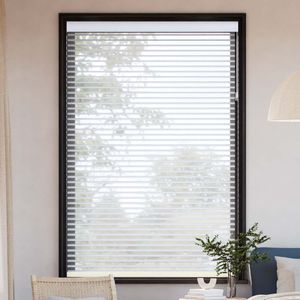 Moonlight Haze 16248