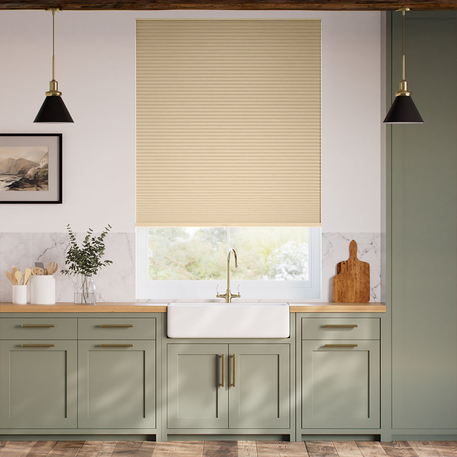 Birch SC 6449