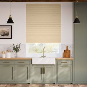 Birch SC 6449