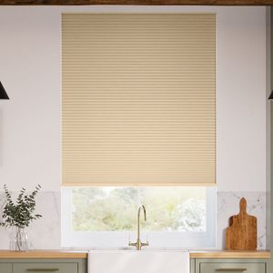 Birch SC 6449