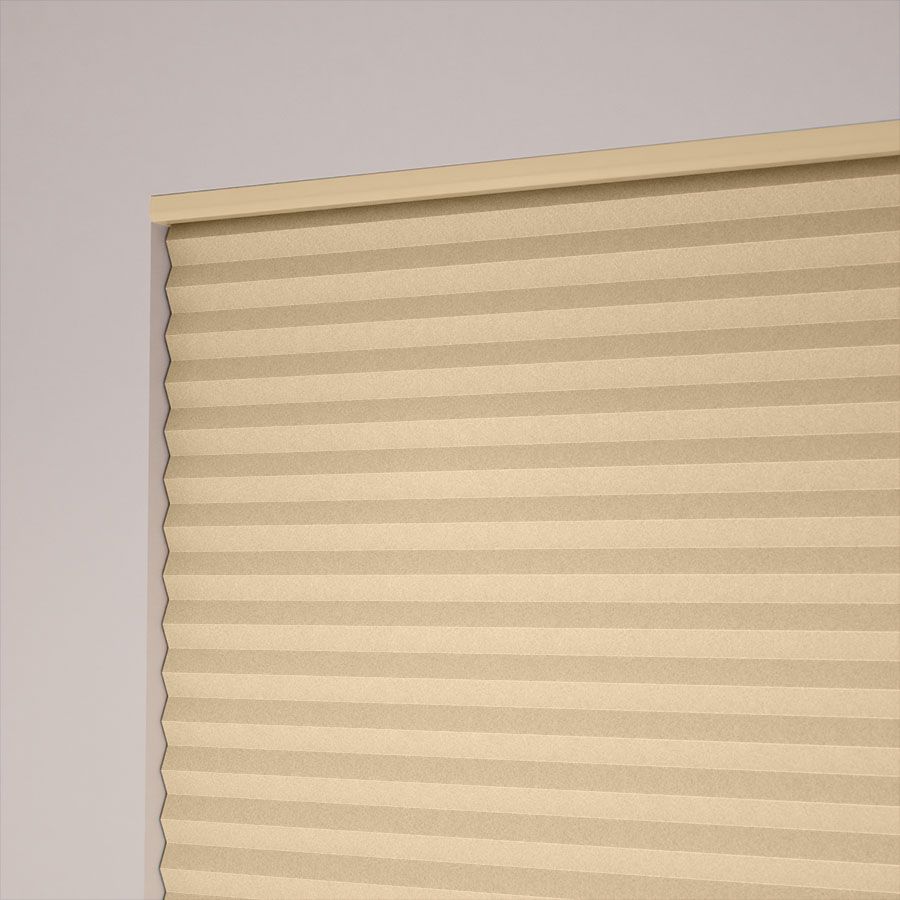 Birch SC 6449