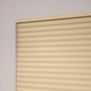 Birch SC 6449