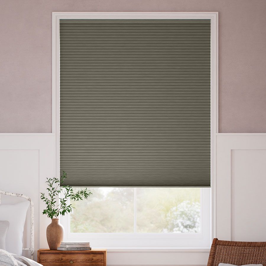 Oregano DC 10970