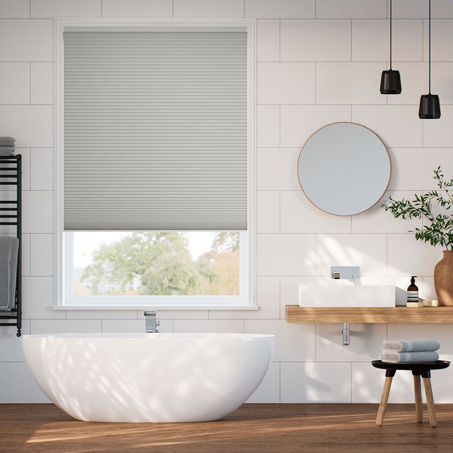 Pale Winter SC 11338