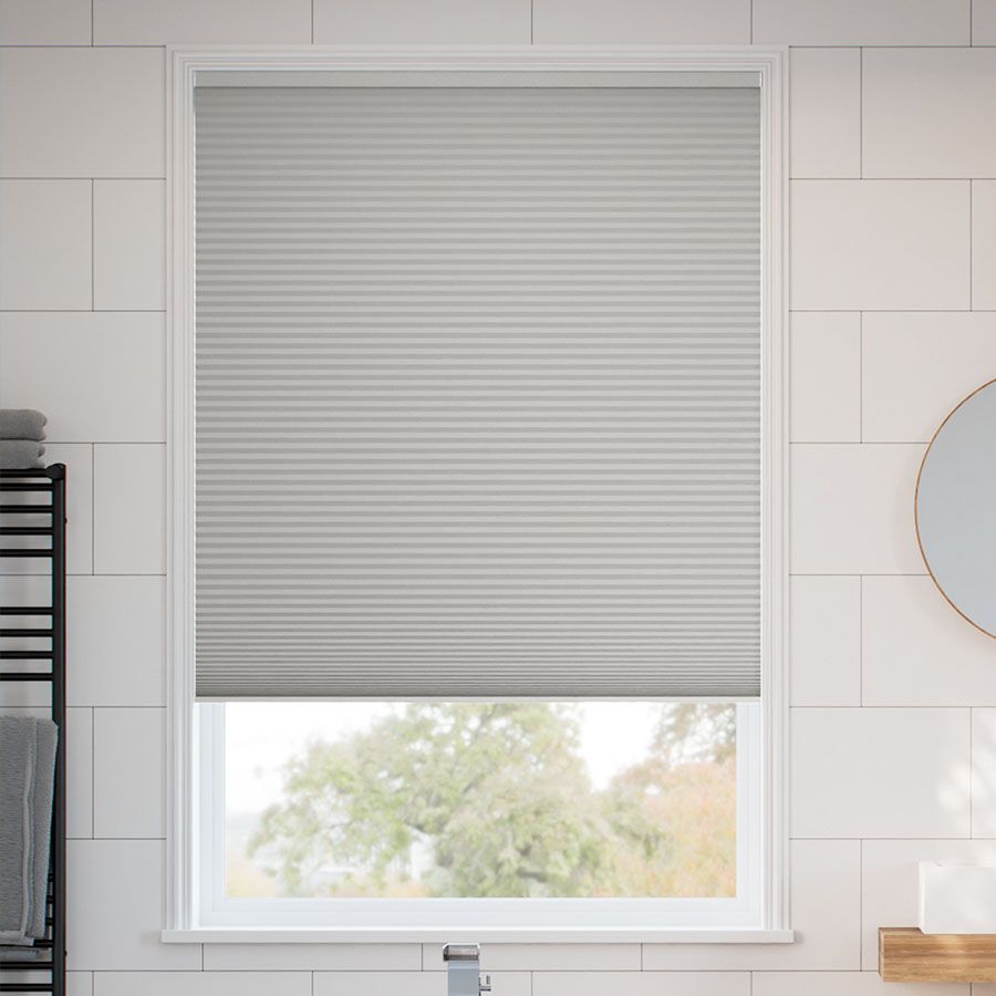 Pale Winter SC 11338