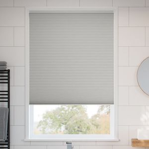 Pale Winter SC 11338