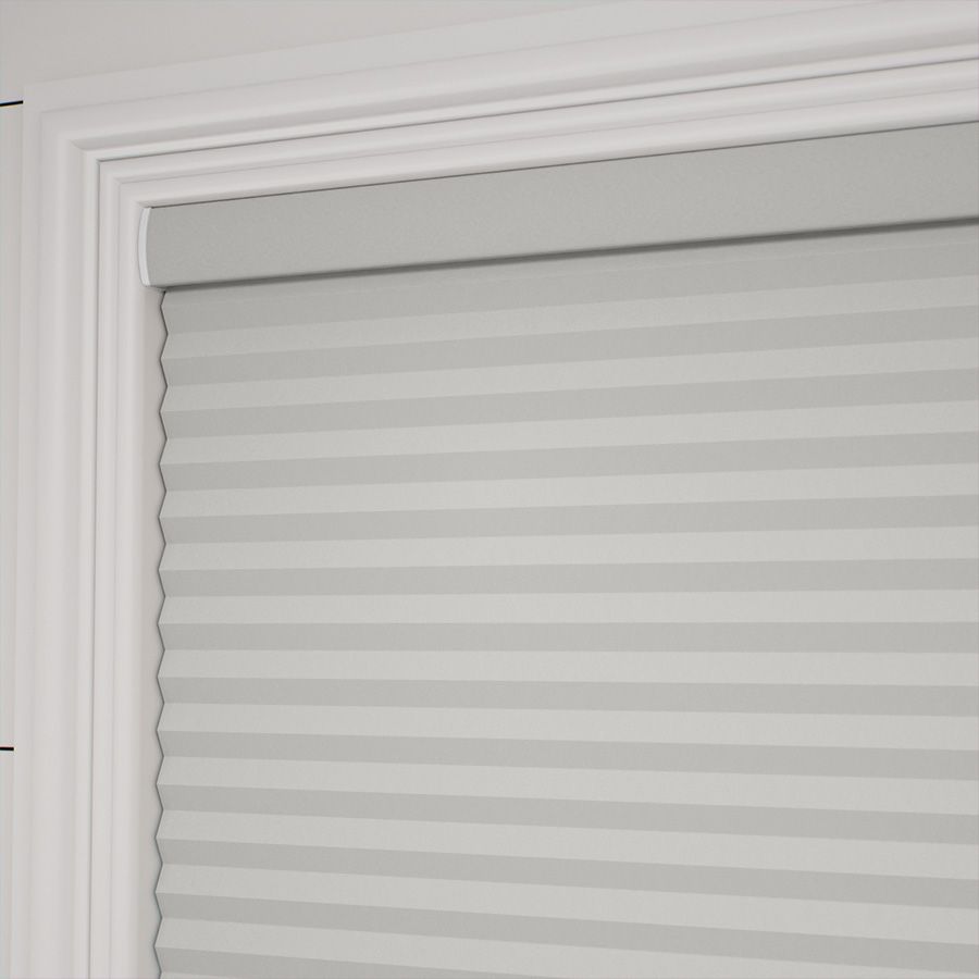 Pale Winter SC 11338