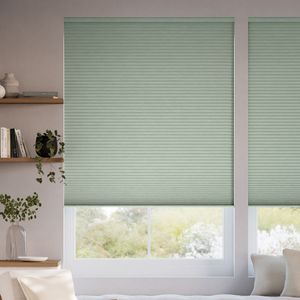 Sage Cactus SC 11464