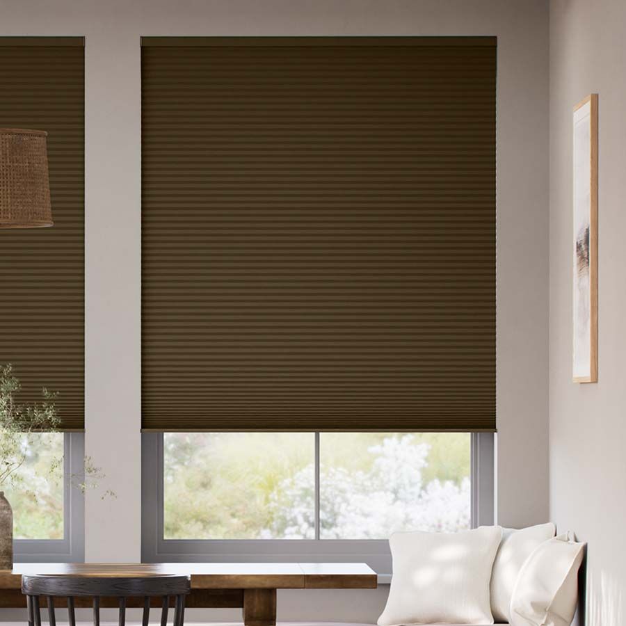 Bistre SC 6505