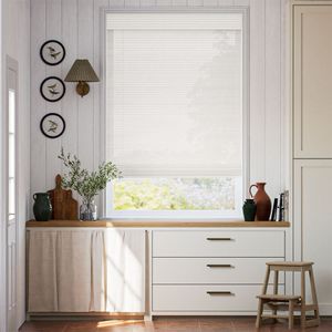 Eastern White Pine 14786