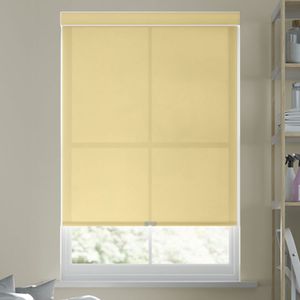 Eclectic Light Filtering Roller Shades