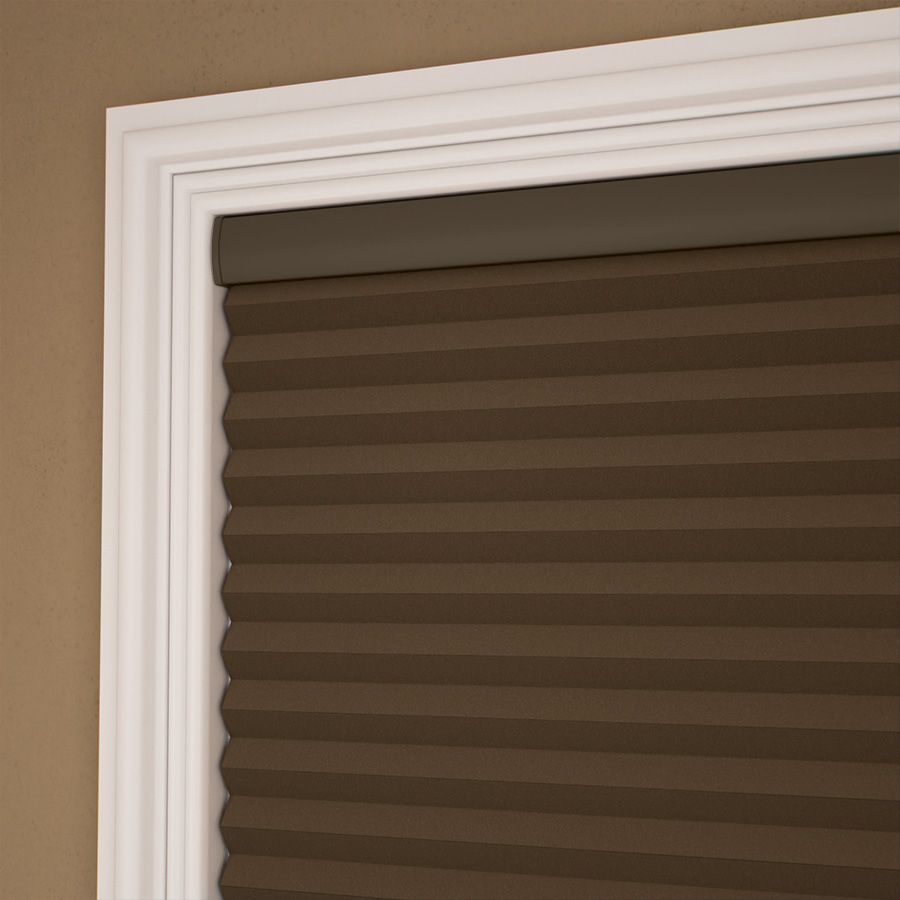 Dark Brown  9019