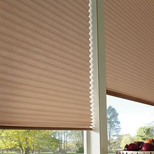 Pleated Shades