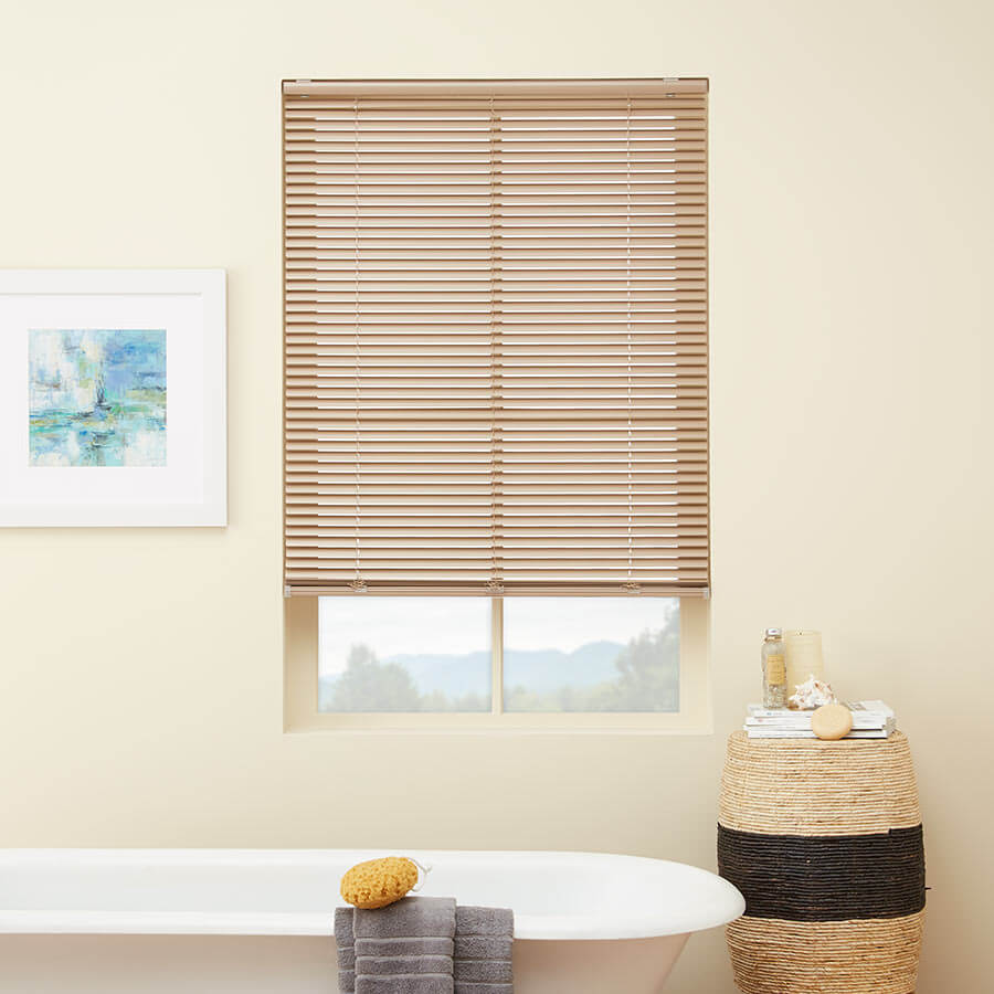 bathroom window blinds