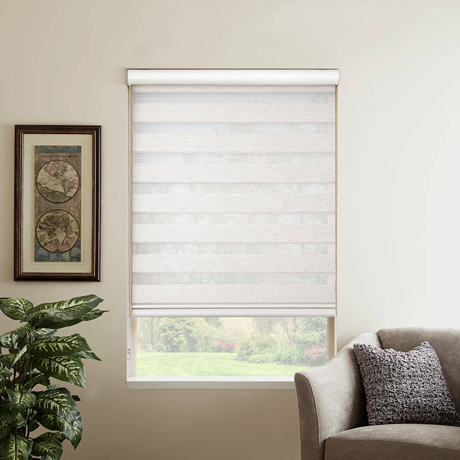 Light Filtering Sheer Roller Shades Free Shipping 2 Colors 