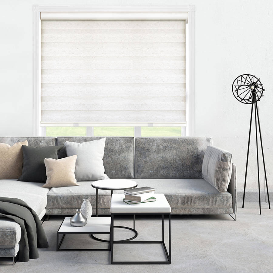 Details about   Double Roller Shade Room Window Blinds Customized Sheer Combi Zebra Sheer Blinds 