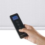 Motorization Details 2