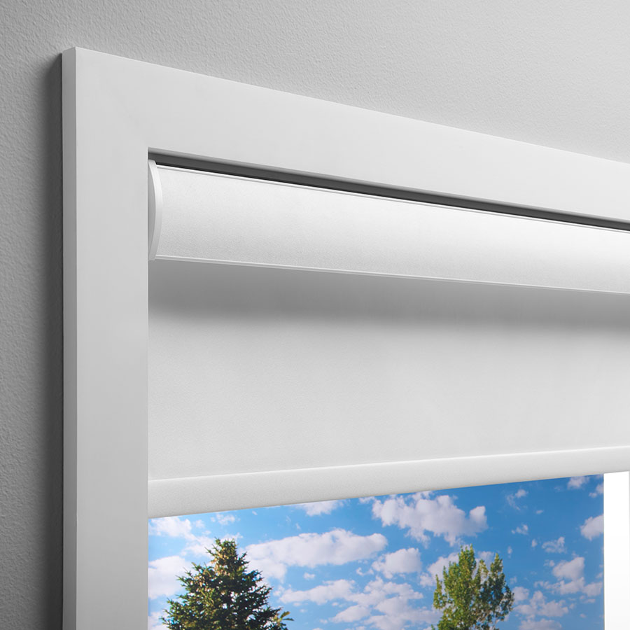 LEVOLOR Light Filtering Roller Shades | Cordless | SelectBlinds