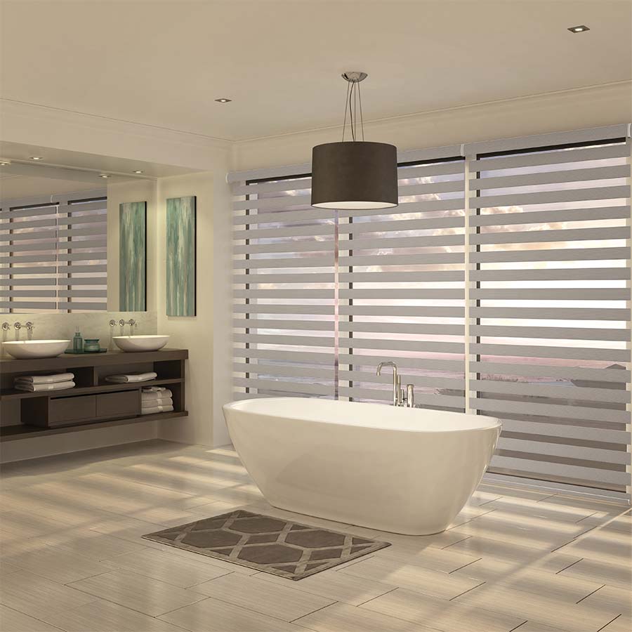 LEVOLOR Room Darkening Zebra Shades | Dual Shades | Select Blinds