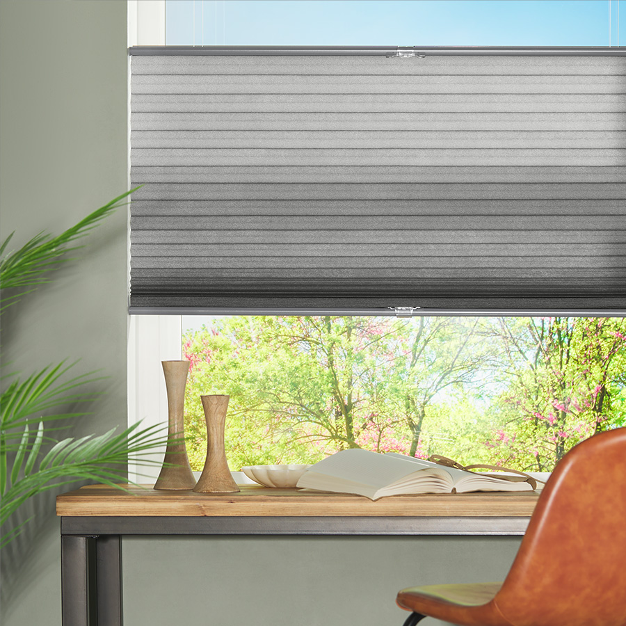 Cordless Top Down Bottom Up Light Filtering Shades