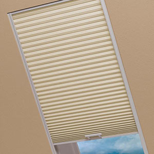 Icon image for Skylights