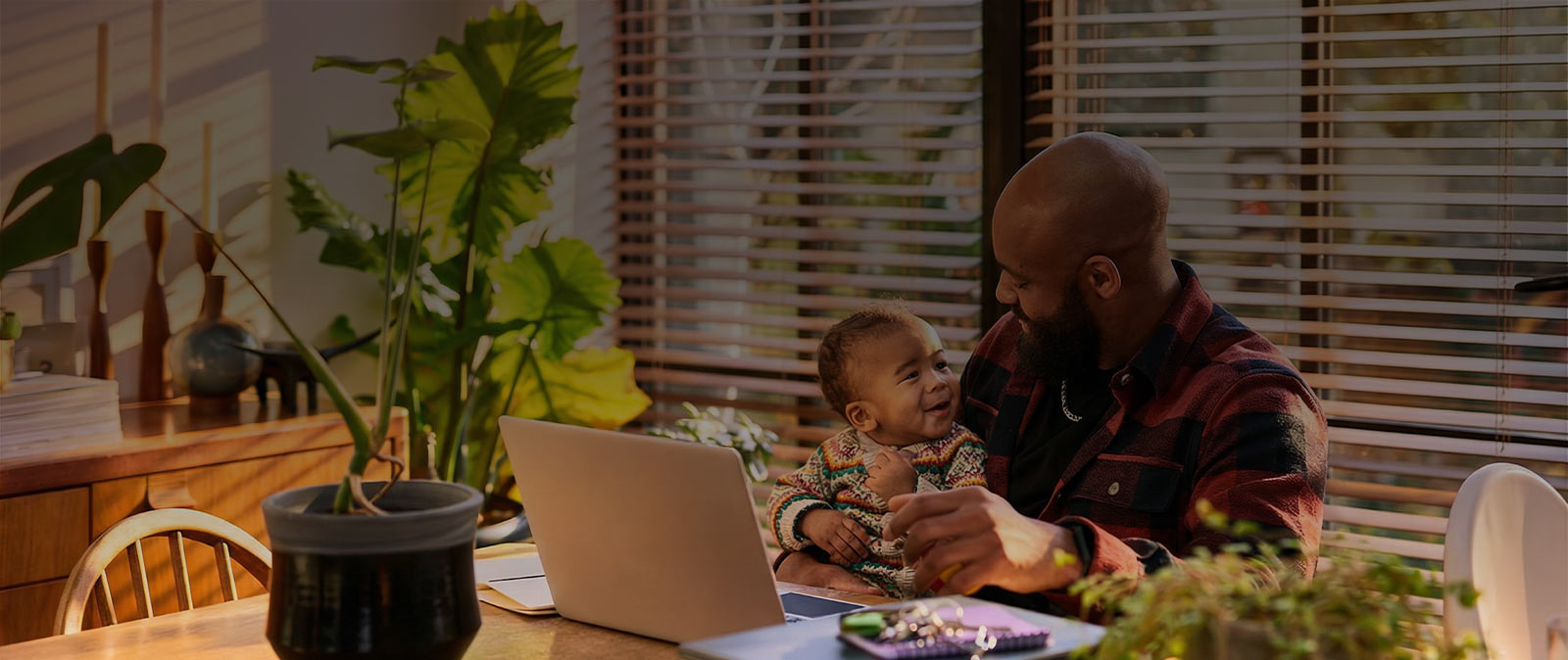 Shop Custom Blinds and Shades