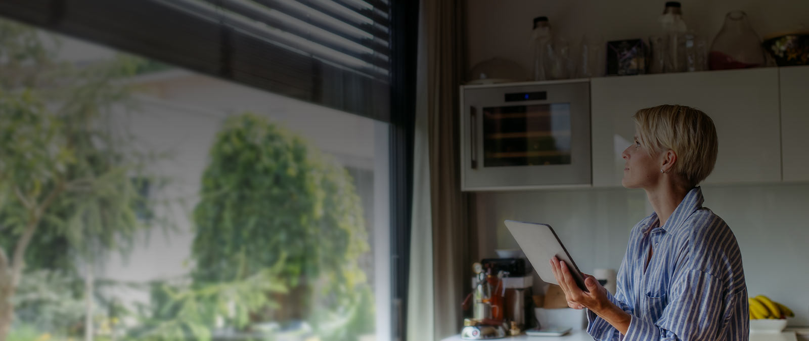 Shop Custom Blinds and Shades