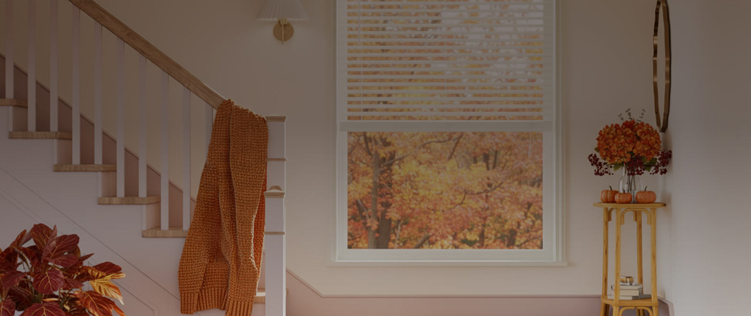 Shop Custom Blinds and Shades