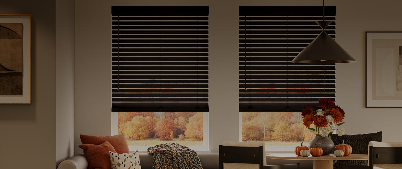 Shop Custom Blinds and Shades