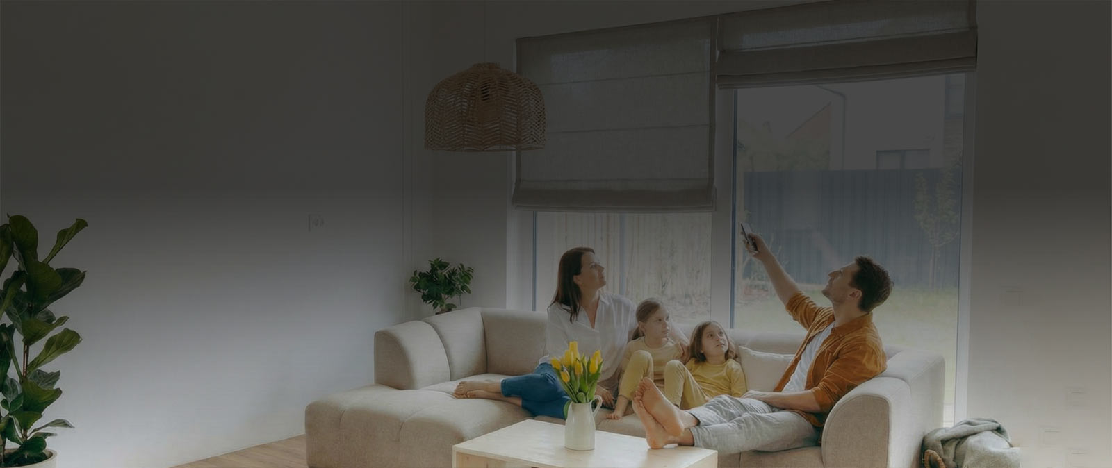 Shop Custom Blinds and Shades