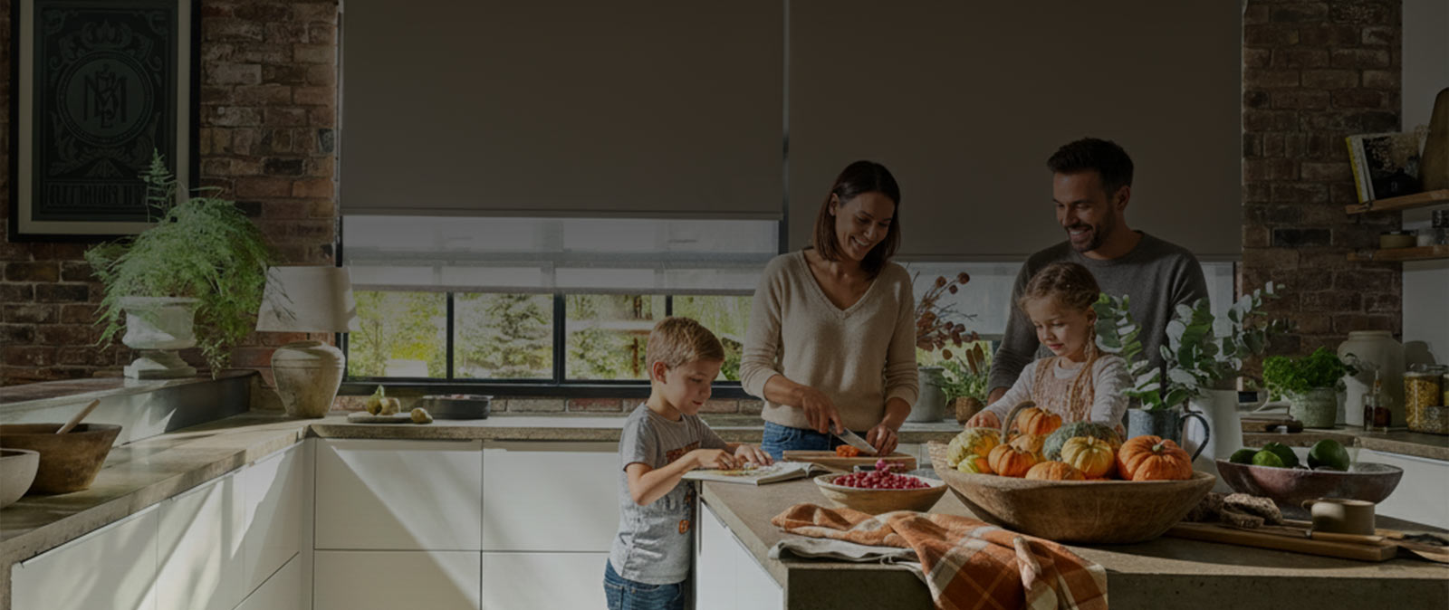 Shop Custom Blinds and Shades