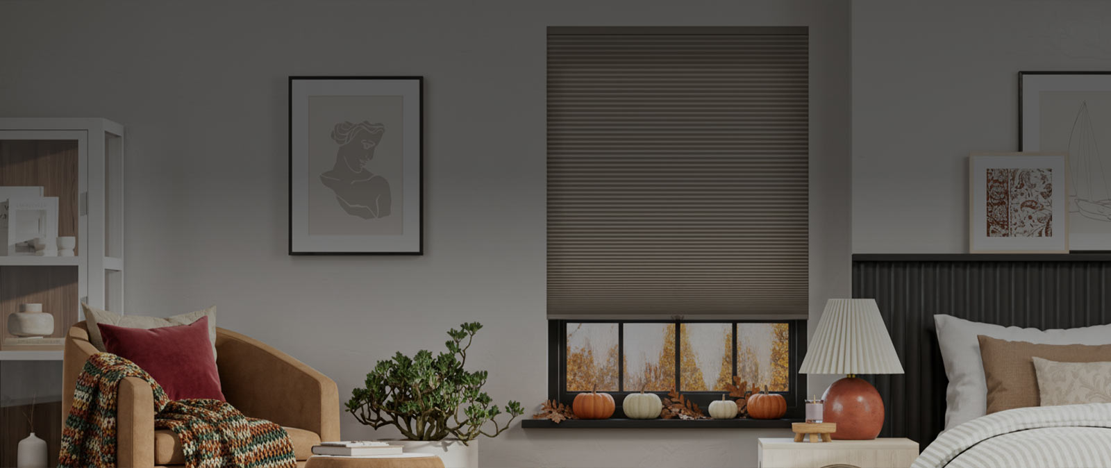 Shop Custom Blinds and Shades