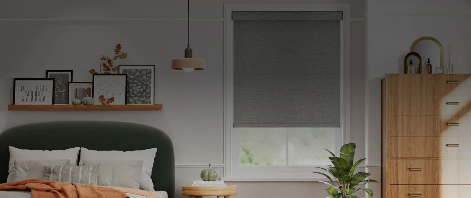 Shop Custom Blinds and Shades