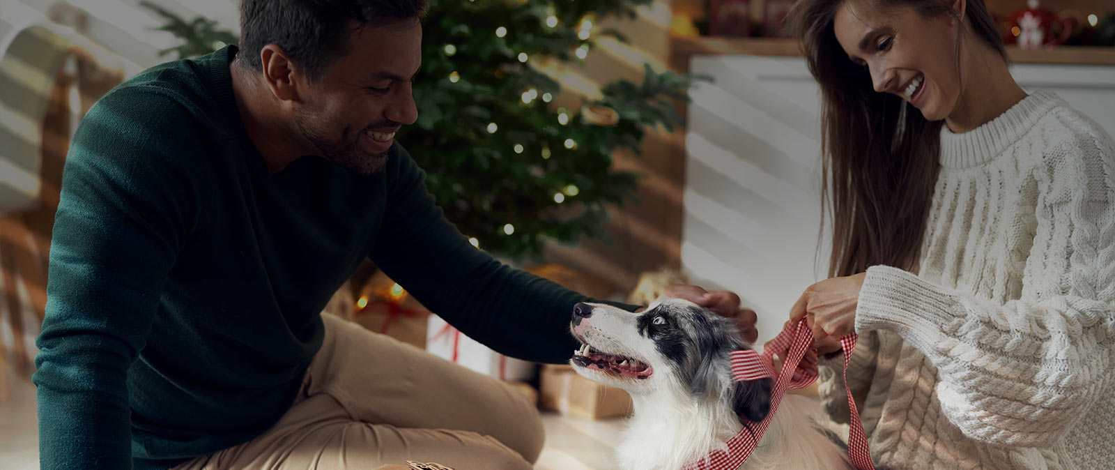 Shop Custom Blinds and Shades